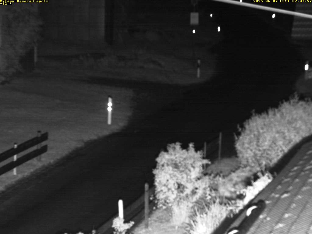 Camera Live Image